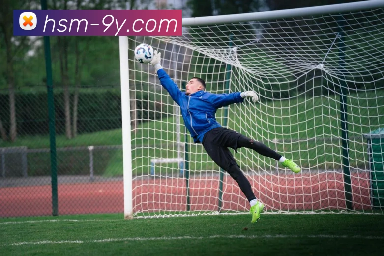 九游官网平台生态图